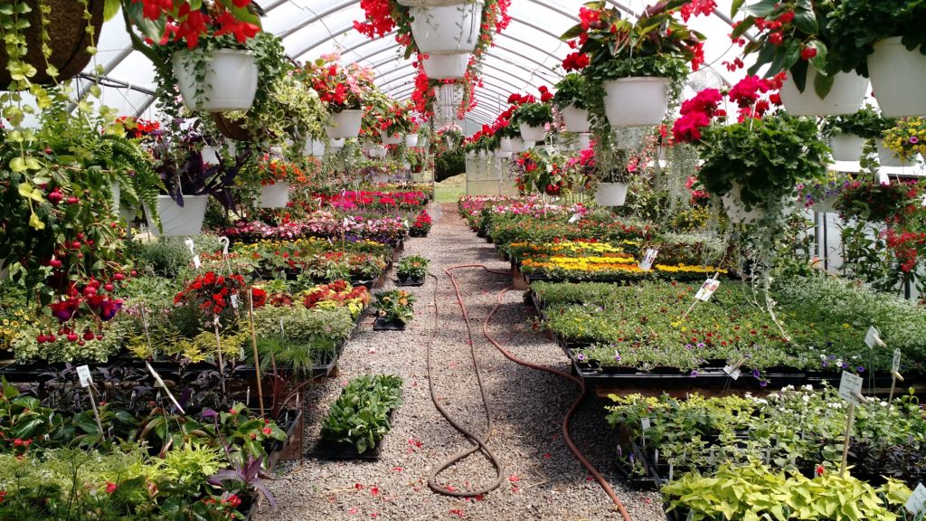 Contact Homestead Gardens Directions to Homestead Gardens