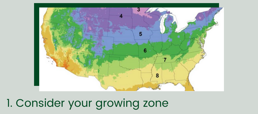 Consider your growing zone