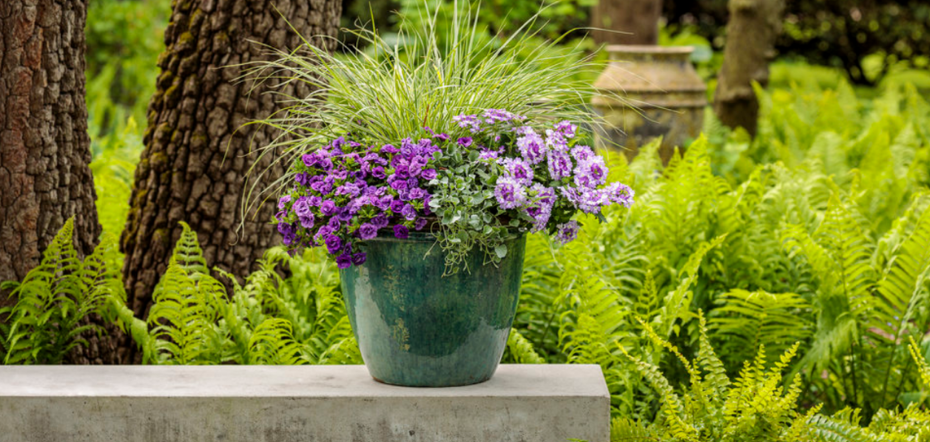 Planting Your Flower Pot: 3 Tips for Starting a Flower Container Garden