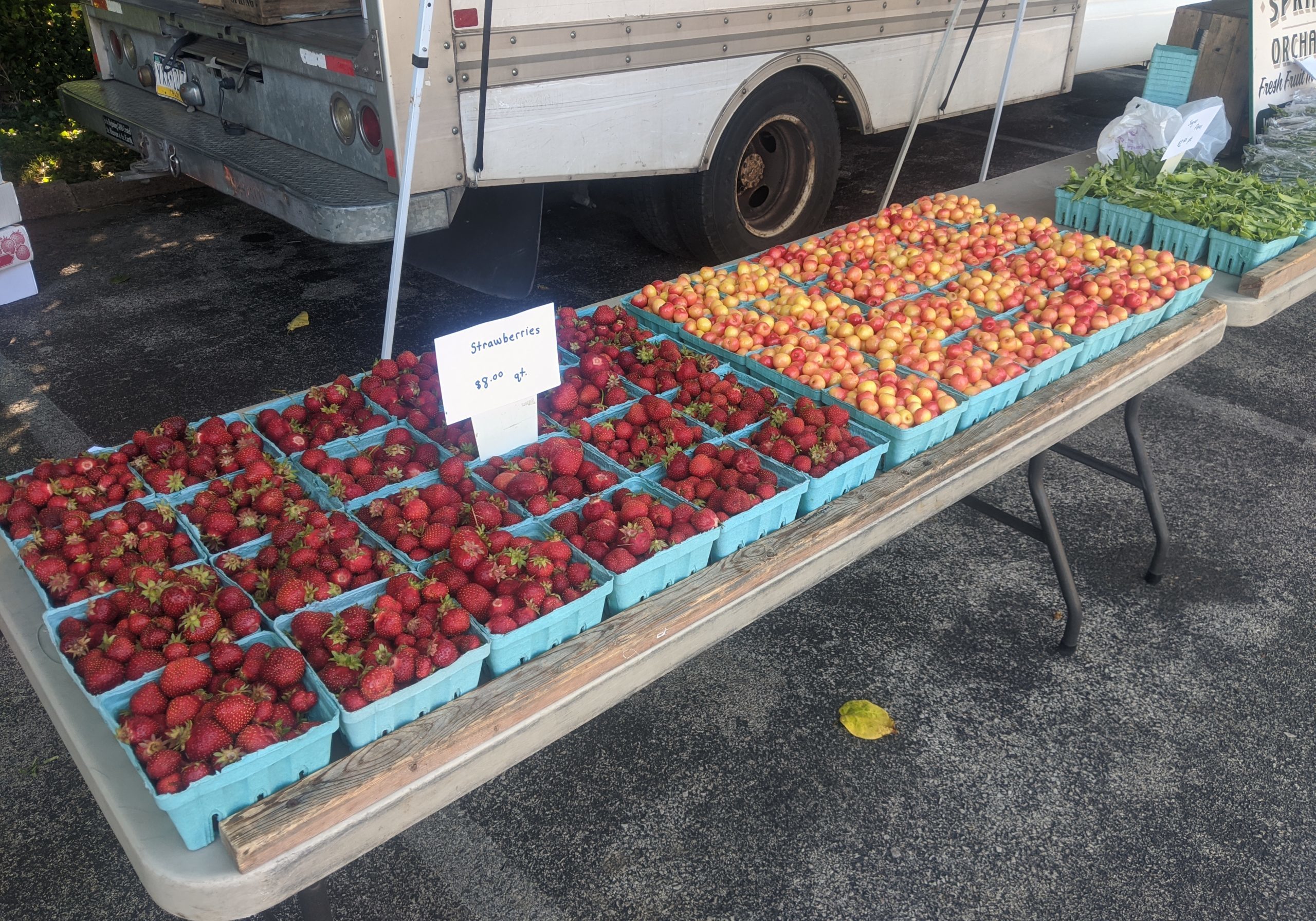 Fruit for sale at Overbrook Farmers Market