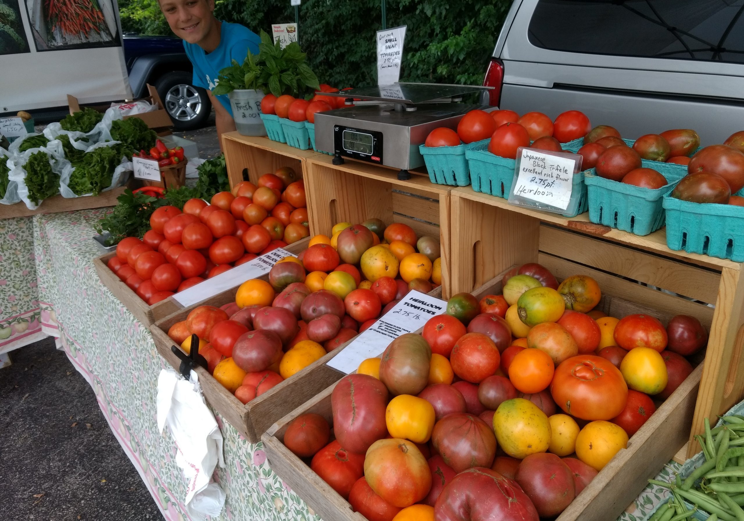 Heirloom tomatoes for sale at Overbrook Farmers Market